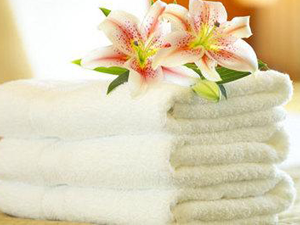 Lavagem de Toalhas de Banho na Vila Olímpia